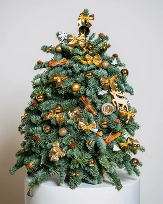 Christmas tree Golden lights (size M) delivery in Dubai