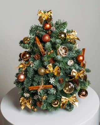 Christmas tree Bronze lights (size S) delivery in Dubai