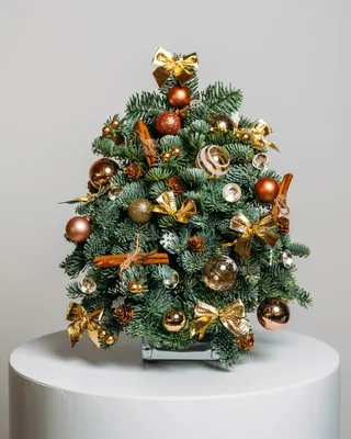 Christmas tree Bronze lights (size XS) delivery in Dubai