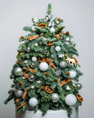 Silver Lights Christmas tree (size M) delivery in Dubai