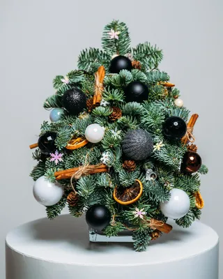 Christmas tree Star lights (size XS) delivery in Dubai