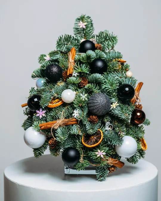 Christmas tree Star lights (size XS)