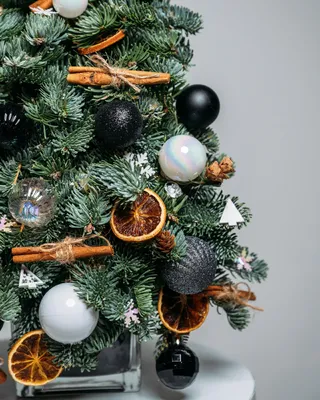 Christmas tree Star lights (size S)