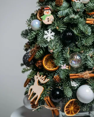 Christmas tree Star lights (size S)