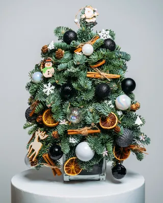 Christmas tree Star lights (size S) delivery in Dubai