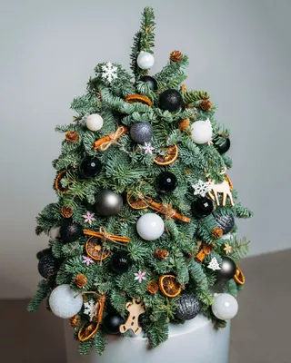 Christmas tree Star lights (size M)