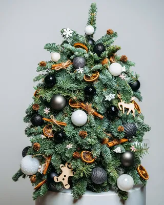 Christmas tree Star lights (size M) delivery in Dubai