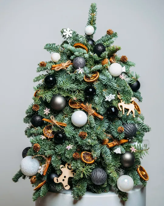 Christmas tree Star lights (size M)