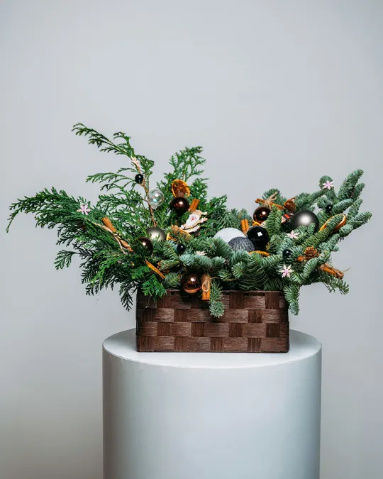 Christmas box arrangement Star lights