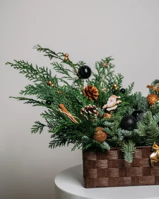 Christmas box arrangement Dark sky