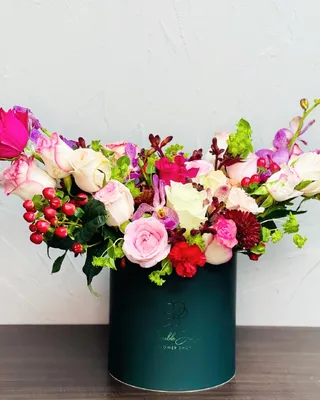 Box arrangement Brightness delivery in Dubai