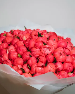 Peony bouquet Majestic Coral Blossom