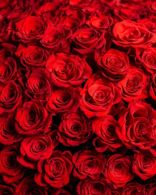 Box arrangement Grand Elegance