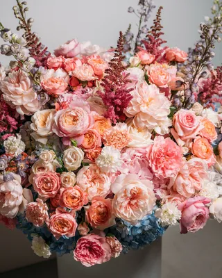 ترتيب سلة جنة الإزهار