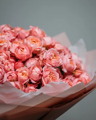 Кустовые розы Julietta Elegance