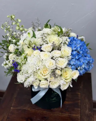 Blue touch box arrangement