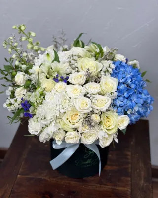 Blue touch box arrangement