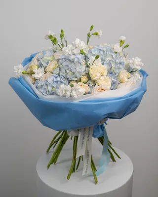 Occasional flowers Angelwing delivery in Dubai