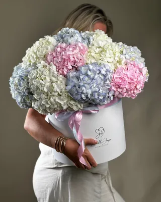 Box arrangement Hydrangea Horizons delivery in Dubai