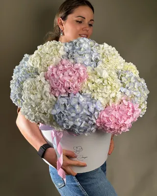 Box arrangement Hydrangea Horizons