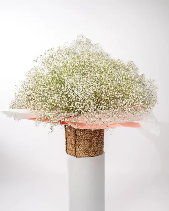 Basket arrangement Cloud Nine