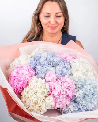 باقة الهيدرانجيا رمال الإزهار