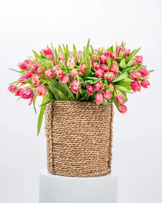 تنسيق سلة توليب الملكية التسليم في دبي