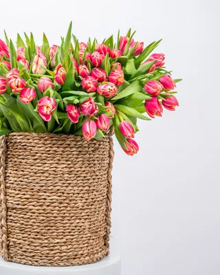 Basket arrangement  Tulip Majesty