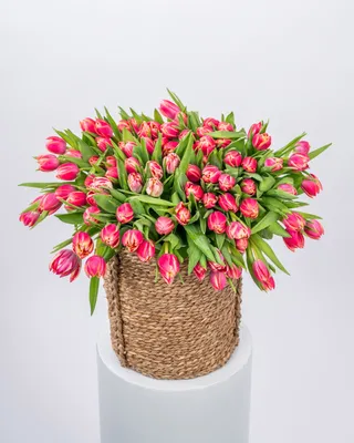 Basket arrangement  Tulip Majesty