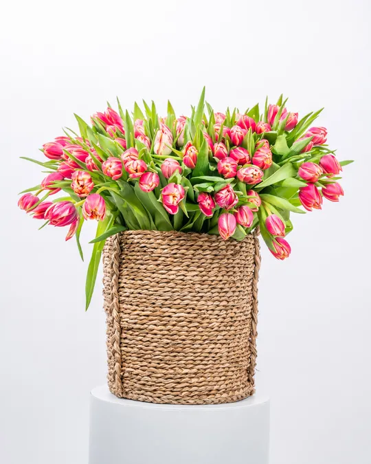 Basket arrangement  Tulip Majesty