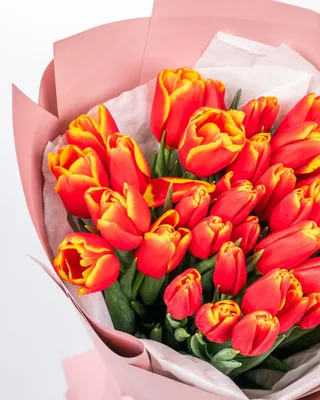 Букет тюльпанов Red Romance