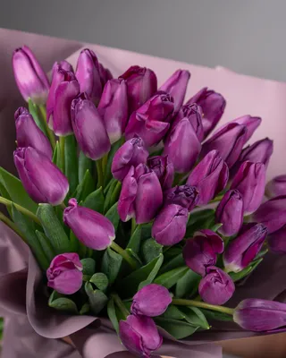 Tulips bouquet Royal Amethyst