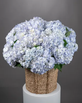 Композиция в корзине Blue Serenity