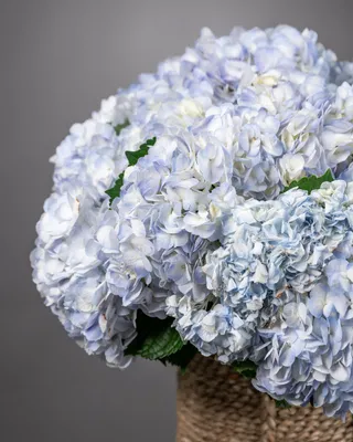 Композиция в корзине Blue Serenity