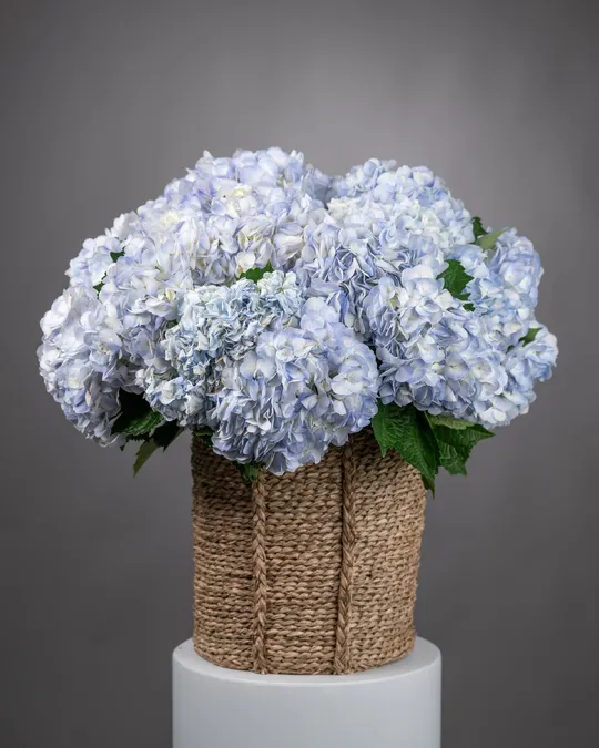 Композиция в корзине Blue Serenity