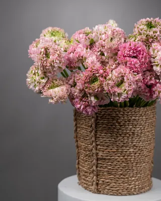 Basket arrangement Ranunculus Garden