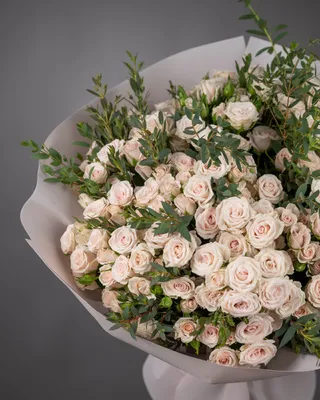 Spray roses Blossoms of Elegance