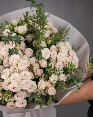 Spray roses Blossoms of Elegance