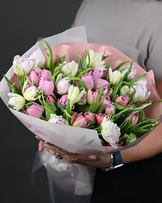 Tulips bouquet Spring Time