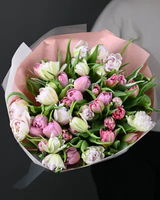 Tulips bouquet Spring Time