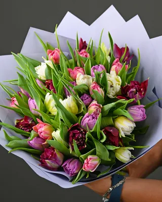 Букет тюльпанов Treasures