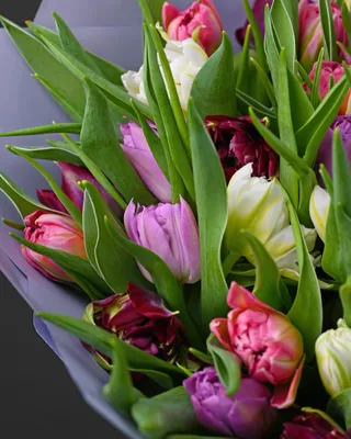 Букет тюльпанов Treasures