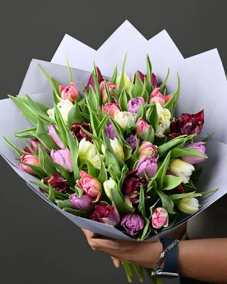 Tulip Treasures delivery in Dubai