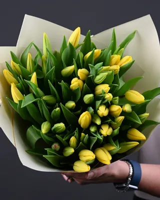 Tulips bouquet Spring Sunshine