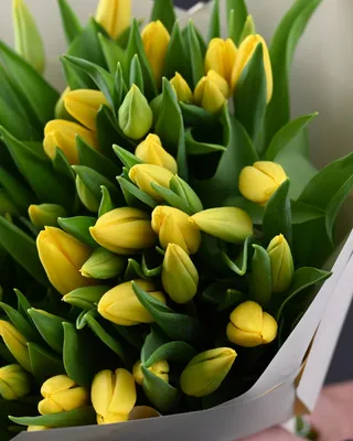 Tulips bouquet Spring Sunshine