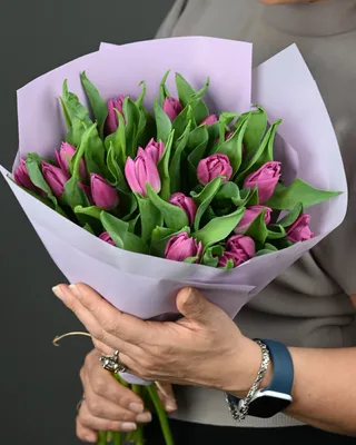 باقة التوليب براعم المخمل