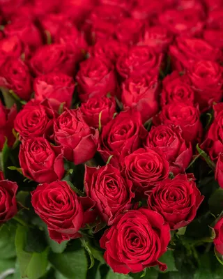 Heartfelt Red Rose Box