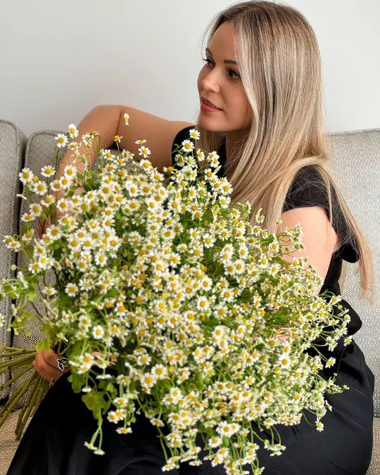 مونوبوكيه من البابونج شمس الصيف