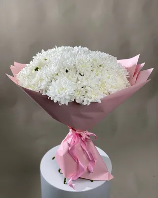 Monobouquet of chrysanthemums Angelic Beauty