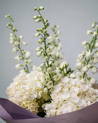 Occasional flower bouquet Exuberance